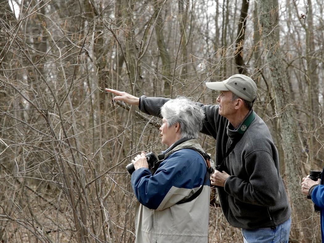Bird Walk: Fall Migration